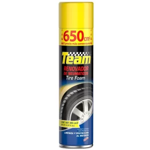 Team Renovador de Neumáticos 650 cc